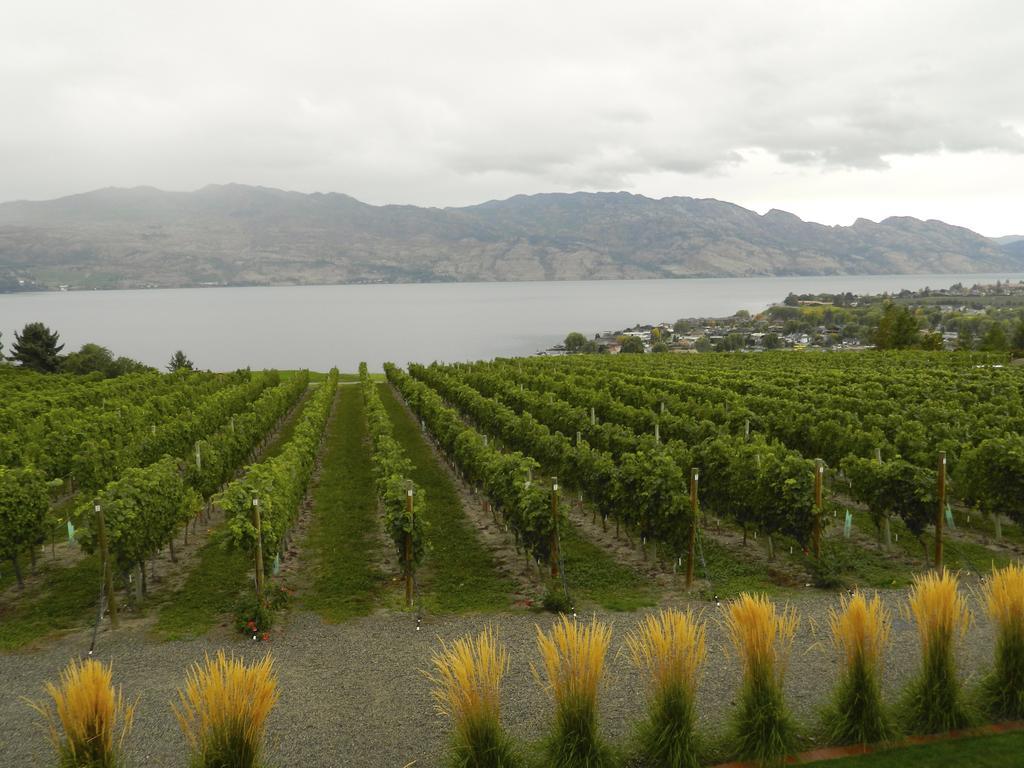 Winedownhere - Lic. 75806 Kelowna Exteriör bild